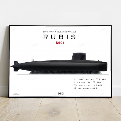 Poster profil SSN Rubis class (to choose)