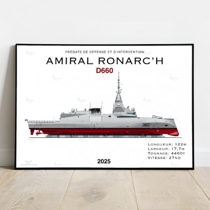 Profil Frégate Amiral Ronarch' (FDI)