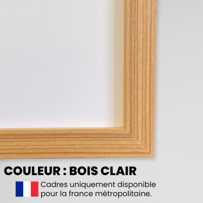 Classe Le Triomphant - edition limitée